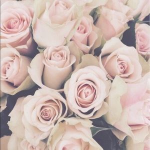 Meet your Posher, Alana